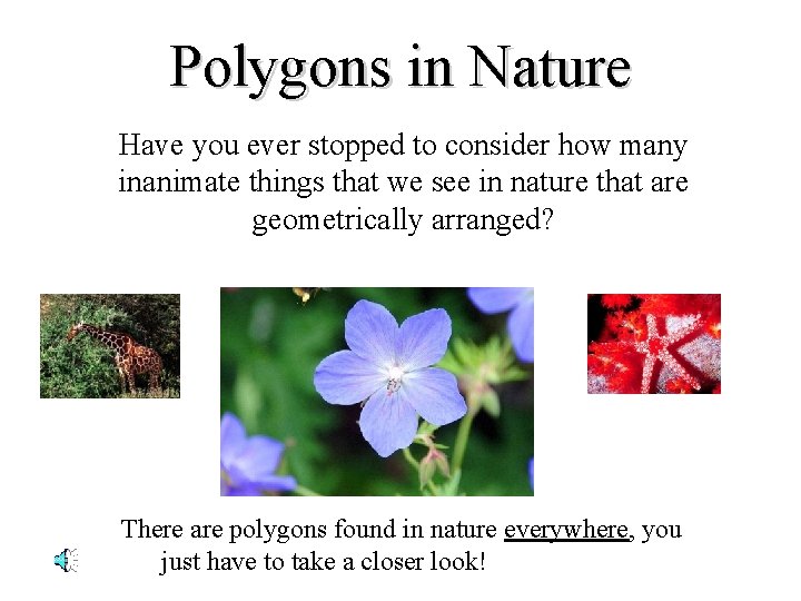 Polygons in Nature Have you ever stopped to consider how many inanimate things that