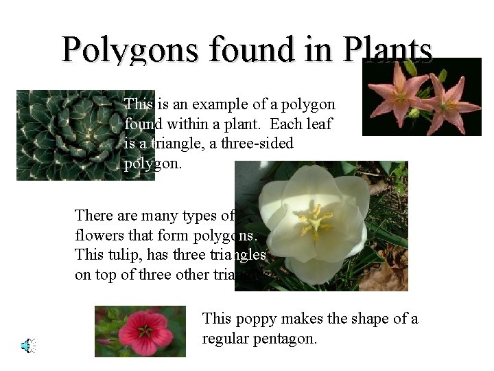 Polygons found in Plants This is an example of a polygon found within a