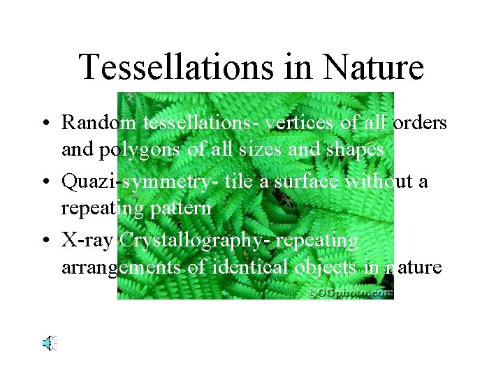 Tessellations in Nature • Random tessellations- vertices of all orders and polygons of all