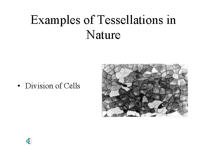 Examples of Tessellations in Nature • Division of Cells 