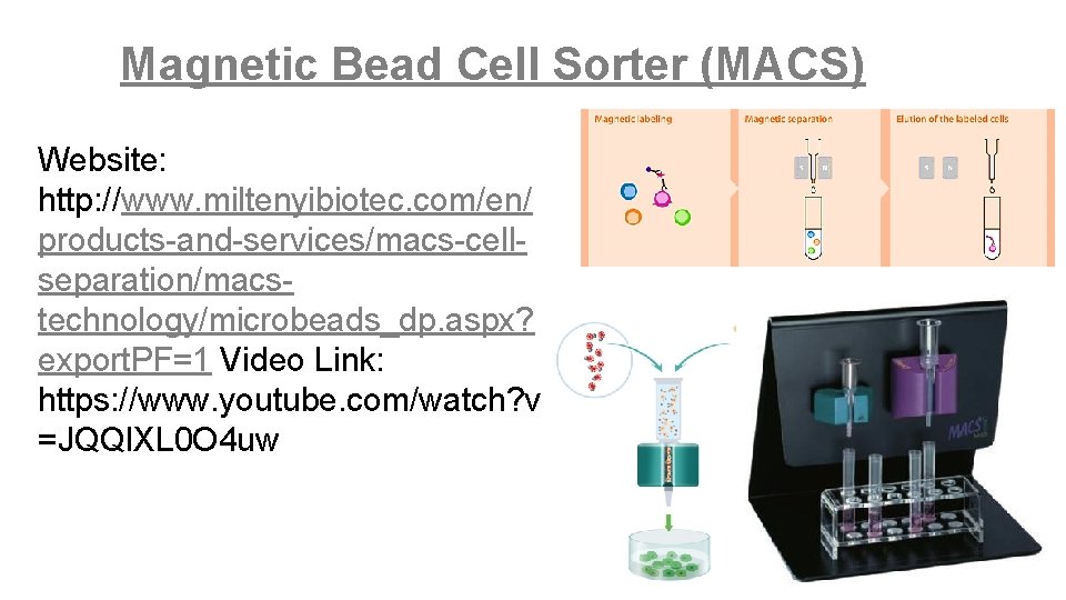 Magnetic Bead Cell Sorter (MACS) Website: http: //www. miltenyibiotec. com/en/ products-and-services/macs-cellseparation/macstechnology/microbeads_dp. aspx? export. PF=1