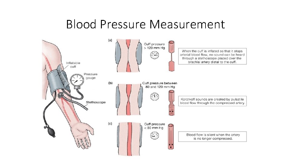 Blood Pressure Measurement 