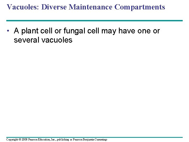 Vacuoles: Diverse Maintenance Compartments • A plant cell or fungal cell may have one