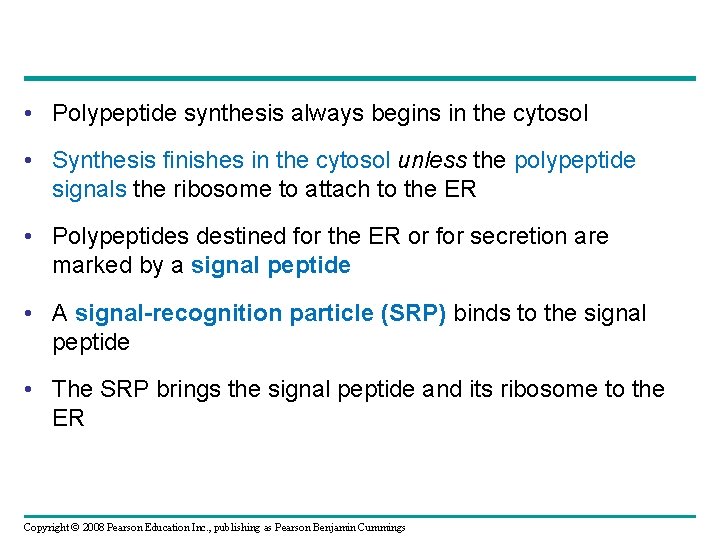  • Polypeptide synthesis always begins in the cytosol • Synthesis finishes in the