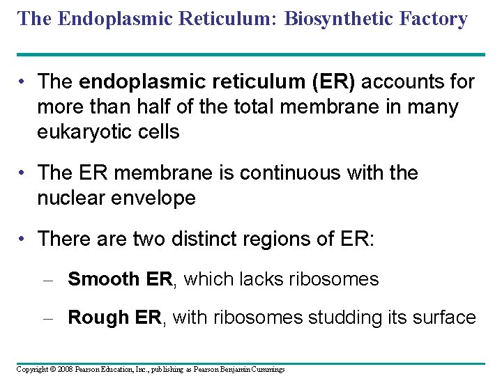 The Endoplasmic Reticulum: Biosynthetic Factory • The endoplasmic reticulum (ER) accounts for more than