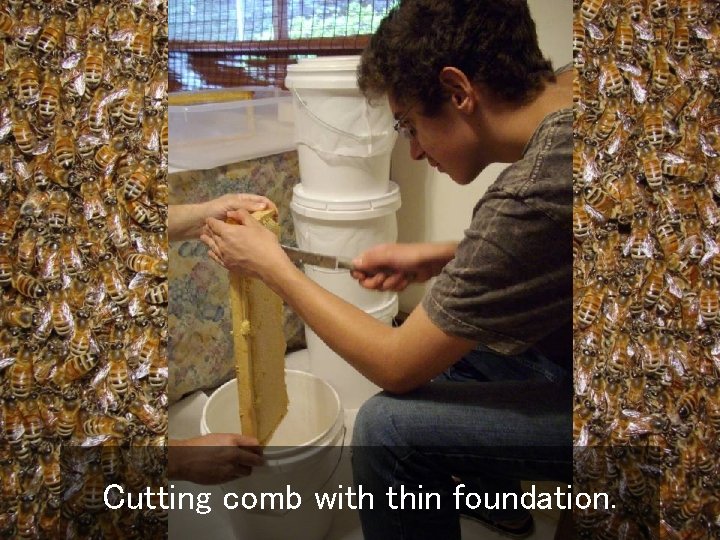 Cutting comb with thin foundation. 