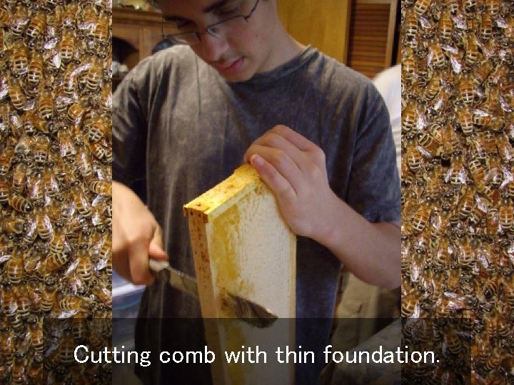 Cutting comb with thin foundation. 