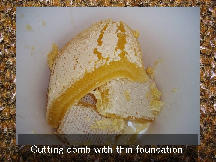 Cutting comb with thin foundation. 