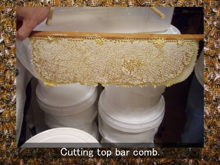 Cutting top bar comb. 