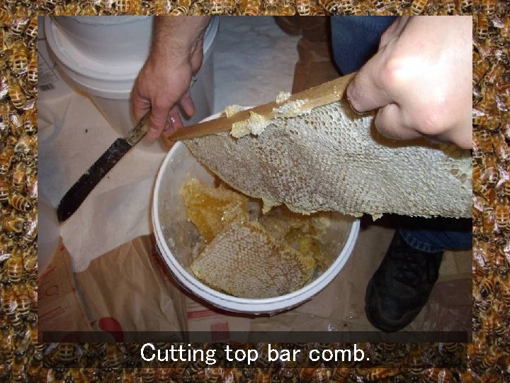 Cutting top bar comb. 