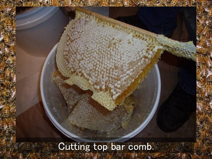 Cutting top bar comb. 