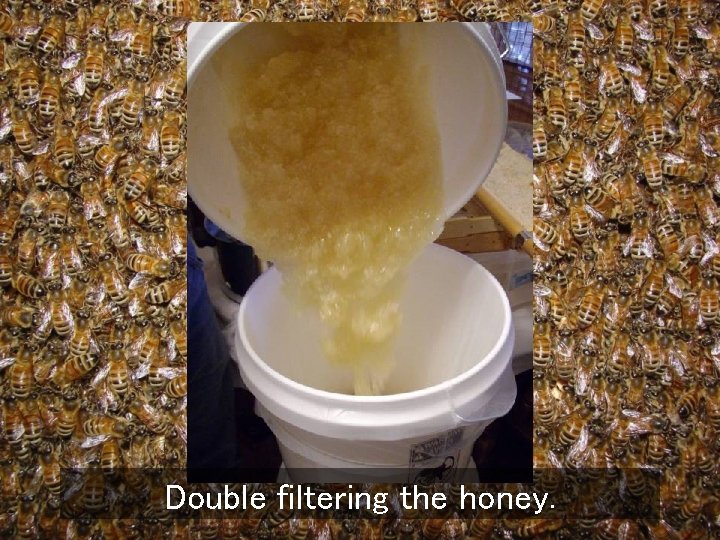 Double filtering the honey. 