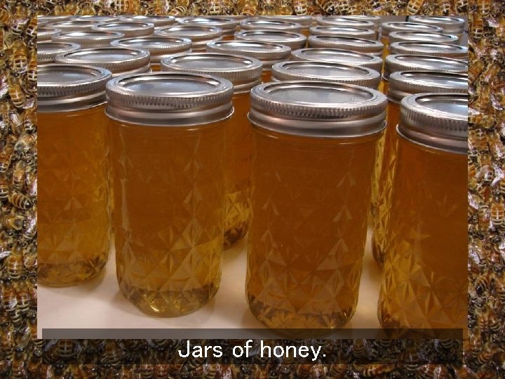 Jars of honey. 