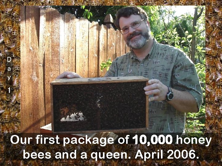 D a y 1 Our first package of 10, 000 honey bees and a