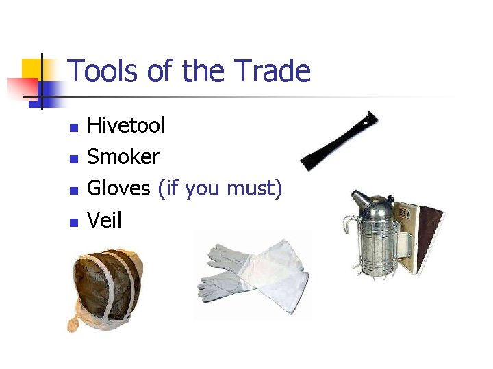 Tools of the Trade n n Hivetool Smoker Gloves (if you must) Veil 