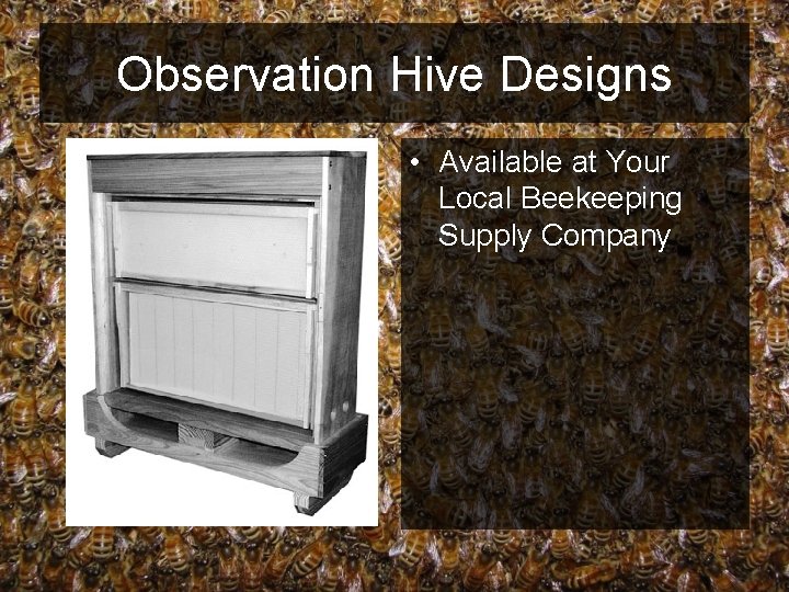 Observation Hive Designs • Available at Your Local Beekeeping Supply Company 