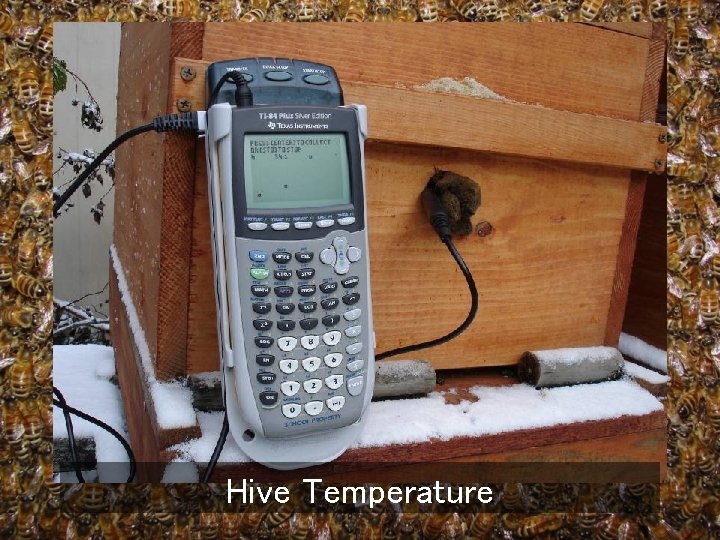 Hive Temperature 