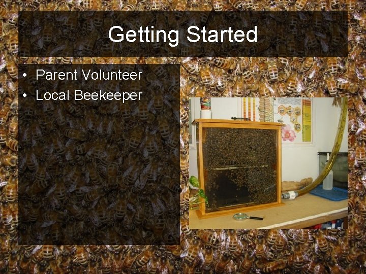 Getting Started • Parent Volunteer • Local Beekeeper 