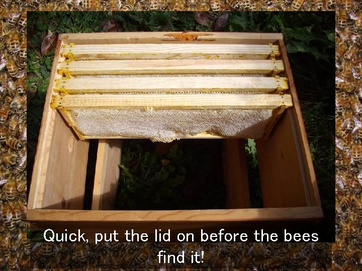 Quick, put the lid on before the bees find it! 