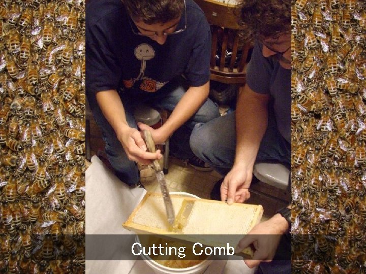 Cutting Comb 