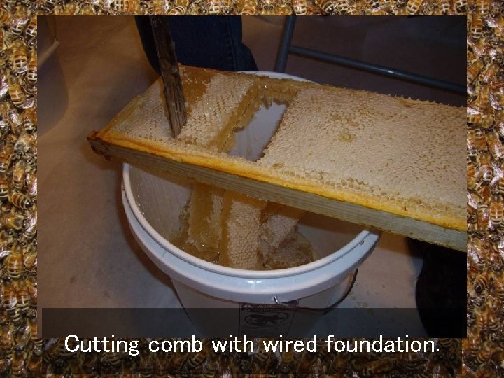 Cutting comb with wired foundation. 