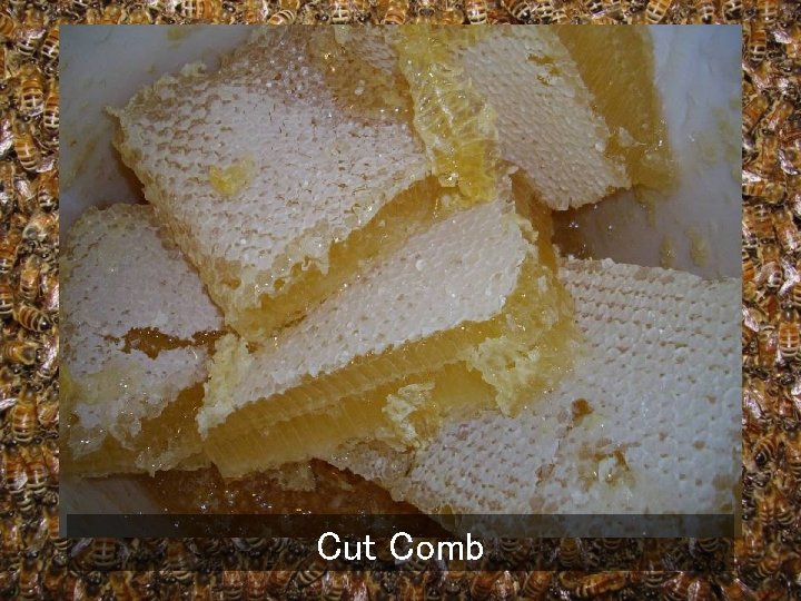 Cut Comb 