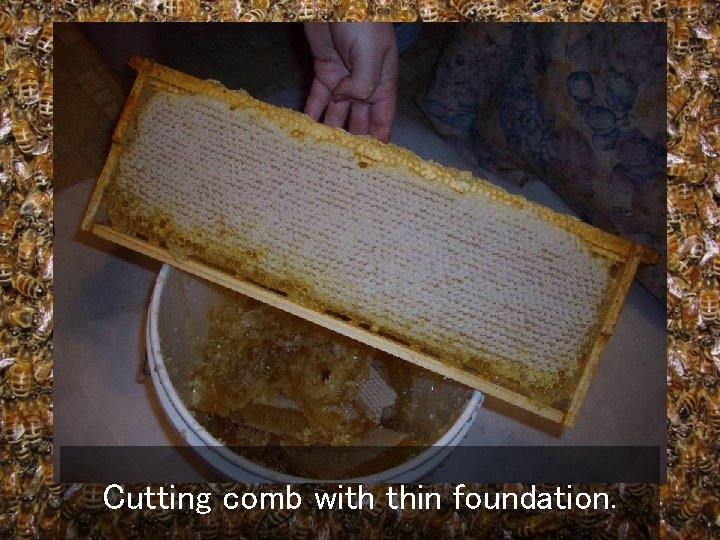 Cutting comb with thin foundation. 