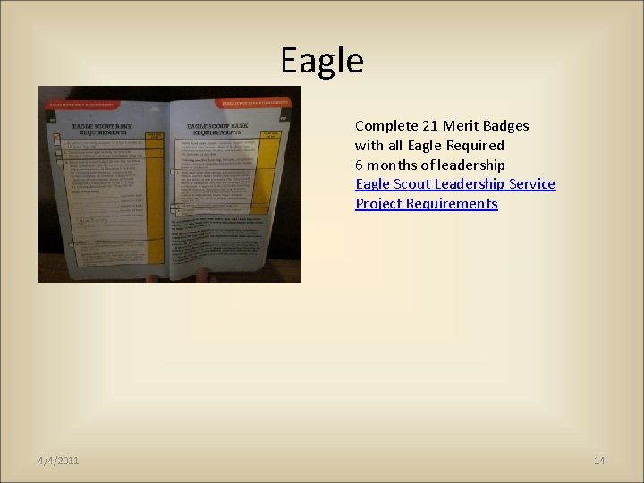 Eagle Complete 21 Merit Badges with all Eagle Required 6 months of leadership Eagle