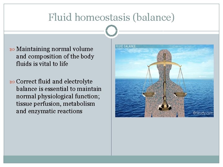 Fluid homeostasis (balance) Maintaining normal volume and composition of the body fluids is vital