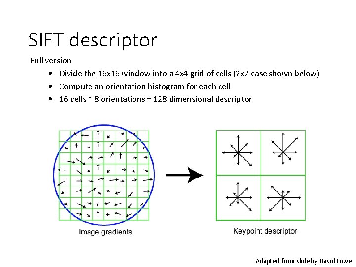 SIFT descriptor Full version • Divide the 16 x 16 window into a 4
