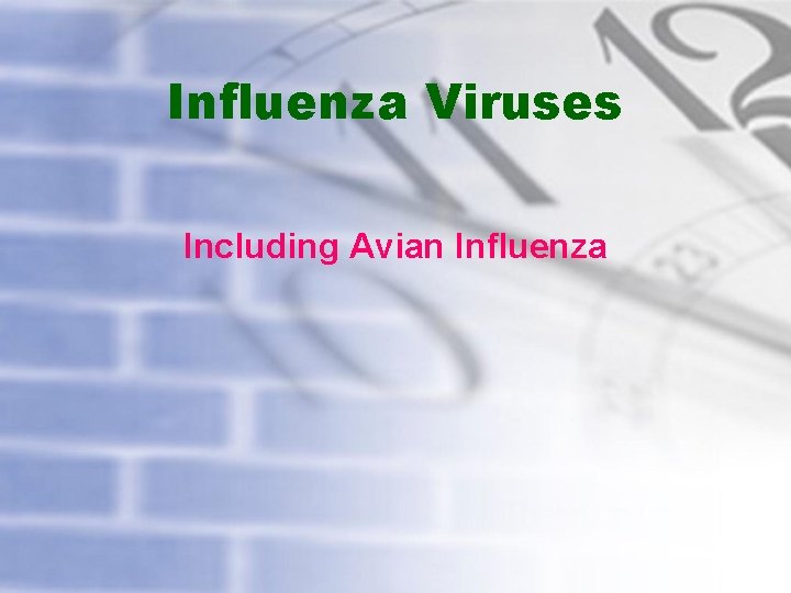 Influenza Viruses Including Avian Influenza 