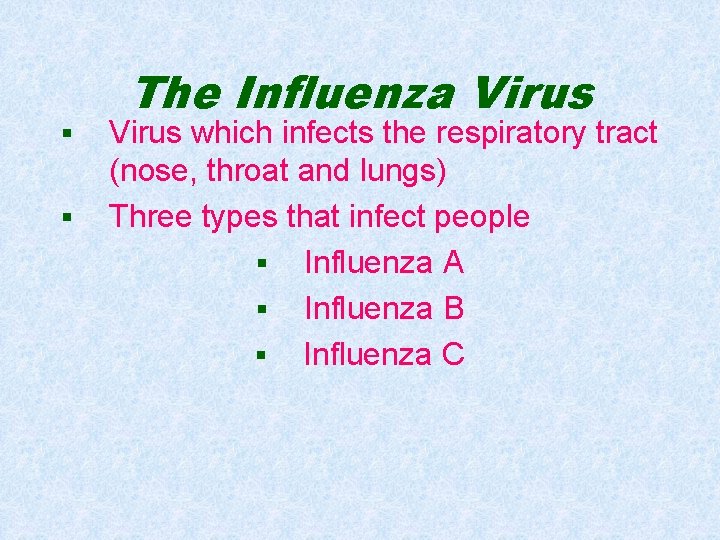 § § The Influenza Virus which infects the respiratory tract (nose, throat and lungs)