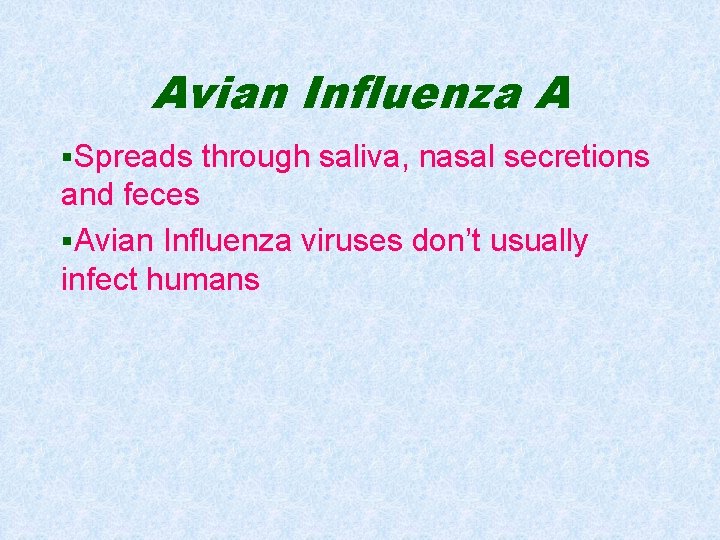 Avian Influenza A §Spreads through saliva, nasal secretions and feces §Avian Influenza viruses don’t