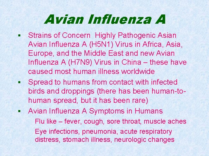 Avian Influenza A Strains of Concern Highly Pathogenic Asian Avian Influenza A (H 5