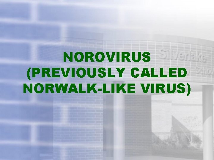NOROVIRUS (PREVIOUSLY CALLED NORWALK-LIKE VIRUS) 