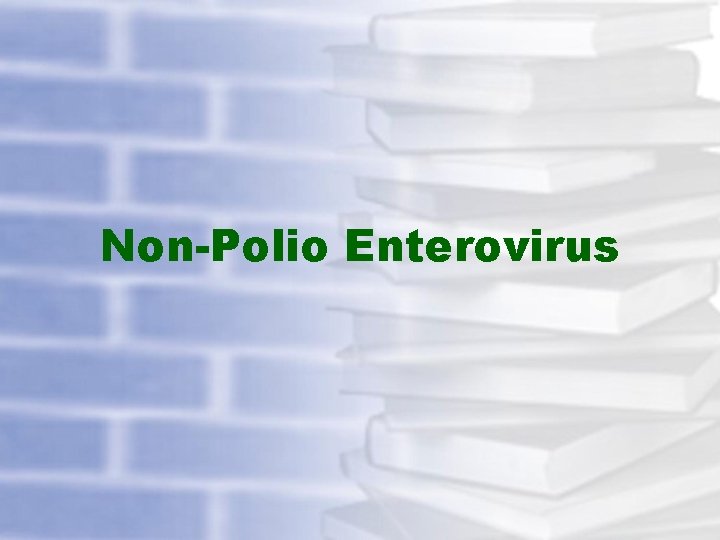 Non-Polio Enterovirus 