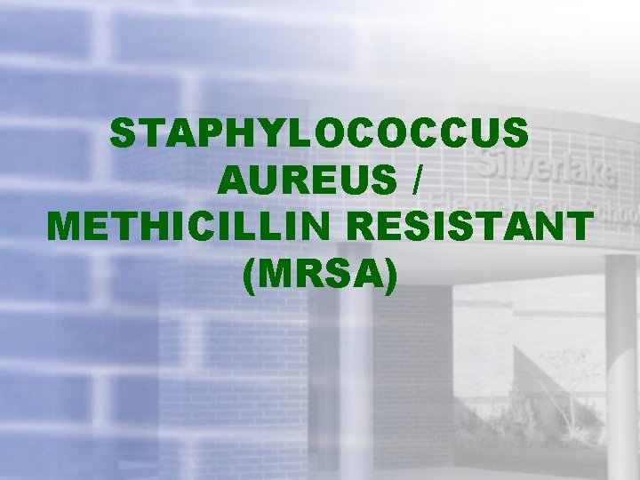 STAPHYLOCOCCUS AUREUS / METHICILLIN RESISTANT (MRSA) 