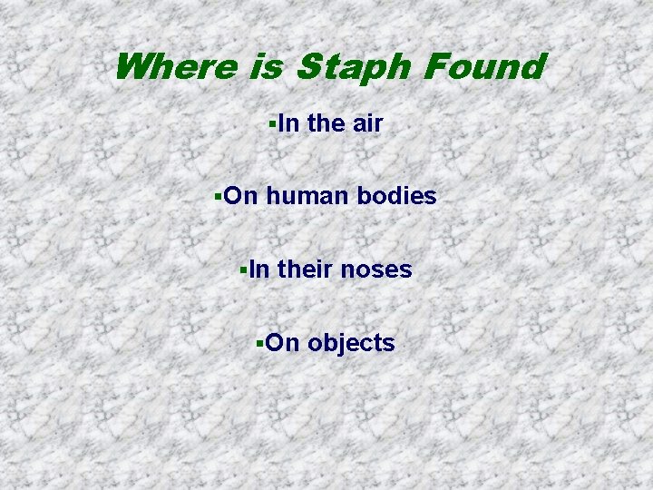 Where is Staph Found §In the air §On human bodies §In their noses §On