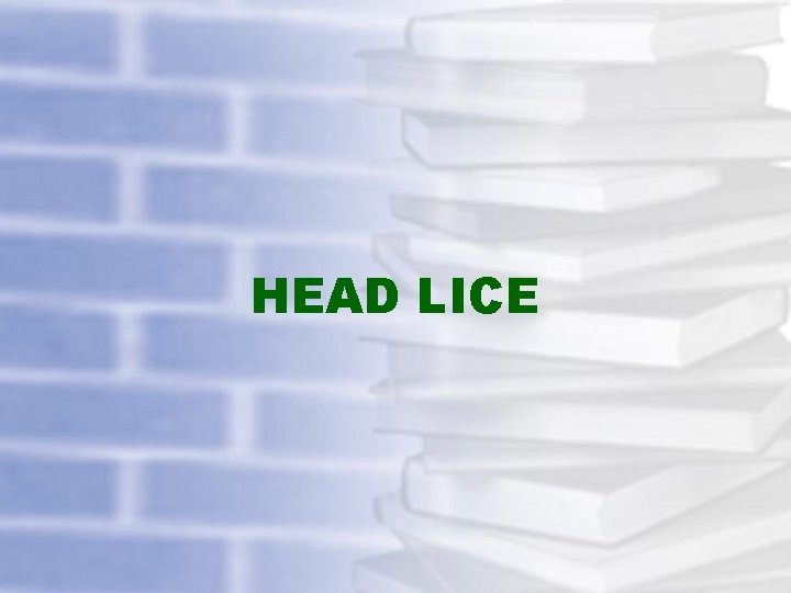 HEAD LICE 
