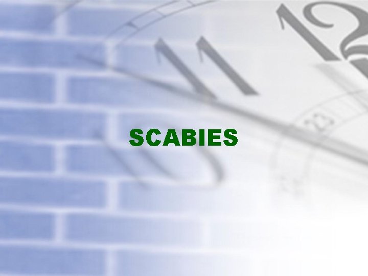 SCABIES 