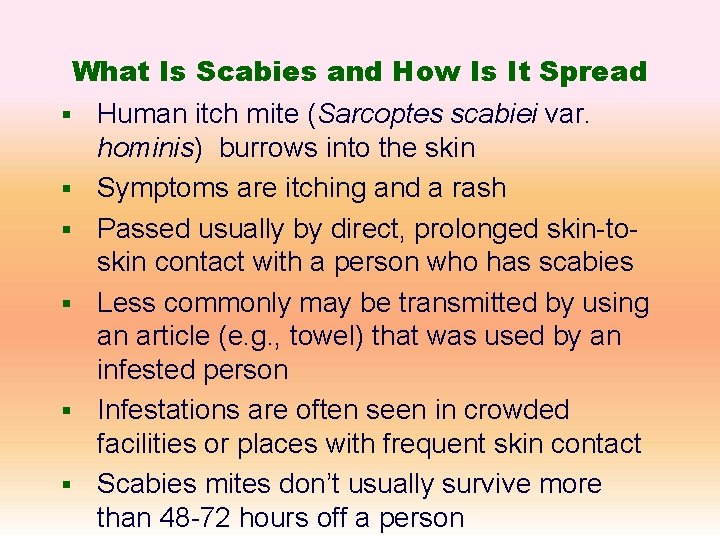What Is Scabies and How Is It Spread § § § Human itch mite
