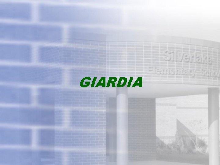 GIARDIA 