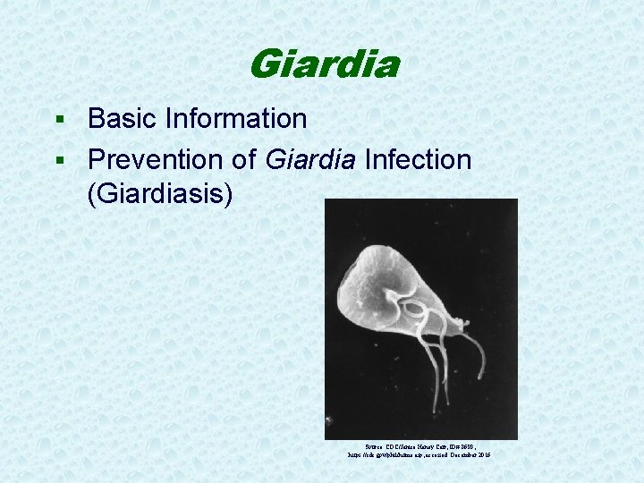 Giardia § Basic Information § Prevention of Giardia Infection (Giardiasis) Source: CDC/Janice Haney Carr,