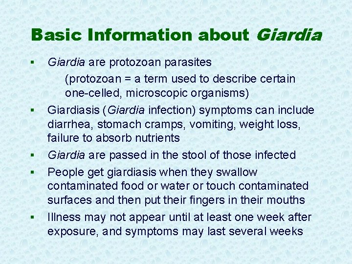 Basic Information about Giardia § § § Giardia are protozoan parasites (protozoan = a