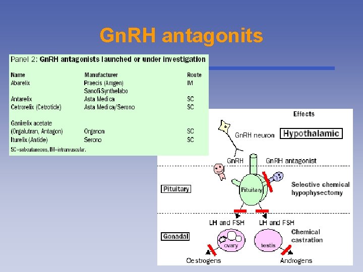 Gn. RH antagonits 