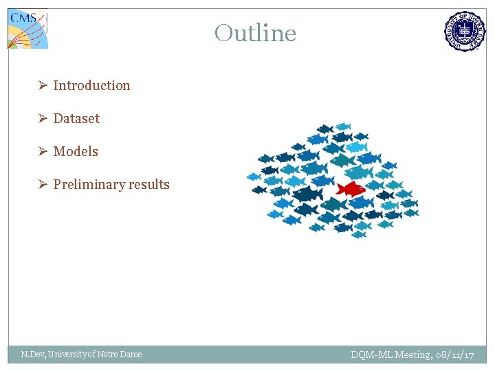 Outline Ø Introduction Ø Dataset Ø Models Ø Preliminary results N. Dev, University of