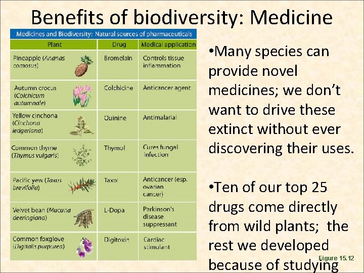 Benefits of biodiversity: Medicine • Many species can provide novel medicines; we don’t want Benefits of biodiversity: Medicine • Many species can provide novel medicines; we don’t want