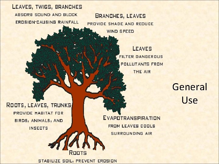 General Use  General Use