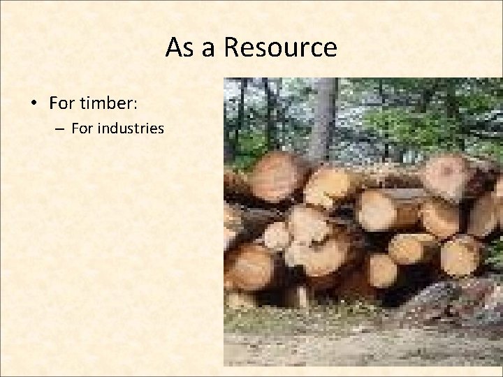 As a Resource • For timber: – For industries  As a Resource • For timber: – For industries