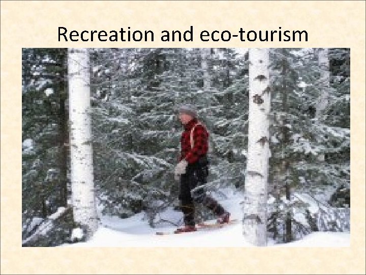 Recreation and eco-tourism 